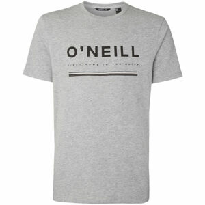 O'Neill LM ARROWHEAD T-SHIRT šedá M - Pánské tričko