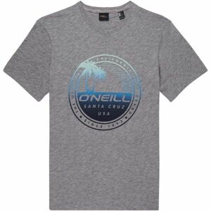 O'Neill LM PALM ISLAND  T-SHIRT šedá L - Pánské tričko