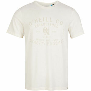 O'Neill LM ESTABLISHED T-SHIRT Pánské tričko, bílá, velikost L