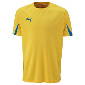 Puma SHIRTS SS TEAM JR Dětské sportovní triko, žlutá, velikost 176
