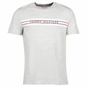 Tommy Hilfiger CLASSIC-CN SS TEE PRINT Pánské tričko, šedá, velikost XL